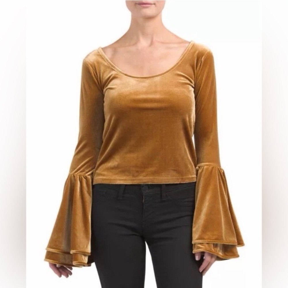 Torn by Ronny Kobo Sabrina Velvet Bell Sleeve Top
